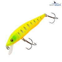 Воблер EastShark Kudo 9.5см. 10г. 0.8-1m Suspending col.#004